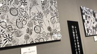 いつ立ち寄ってもいいものを見せてくれる