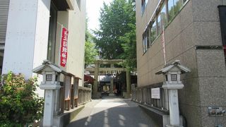 ビルの谷間とは思えないような銀杏の大木に覆われた静かな境内です