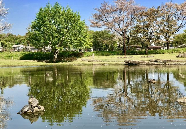 清瀬金山緑地公園 クチコミ アクセス 営業時間 東久留米 清瀬 フォートラベル