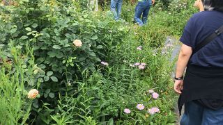 ワイナリーの中にあるレストラン