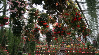 とってもフォトジェニックな花鳥園