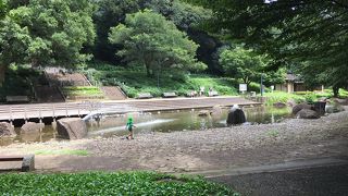 緑豊かな公園