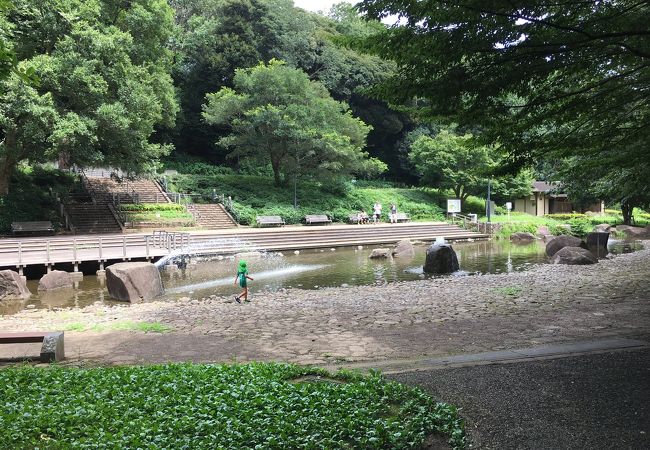 緑豊かな公園