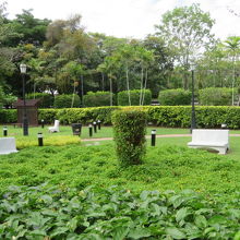 モスクの敷地内