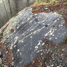 1億年以上前の大陸移動や隆起の名残の岩です