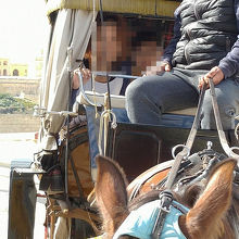 記念撮影に気持ちよく応じてくれました