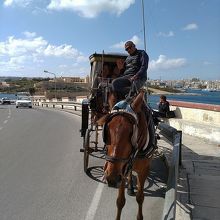 お馬さんありがとう