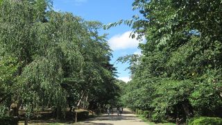 弘前城跡にある憩いの公園