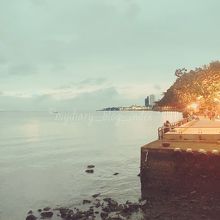 夕方からライトアップが始まります