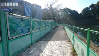 工事中で入れませんでした