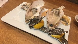 飲み放題と牡蠣三昧！