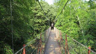 クレマチスの丘と実質的にはつながっている