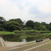 柳瀬川沿いにある親水公園