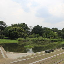 清瀬金山緑地公園 クチコミ一覧 フォートラベル 東久留米 清瀬 清瀬金山緑地公園 クチコミ一覧 フォートラベル 東久留米 清瀬