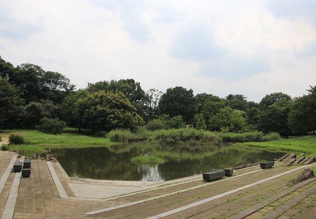 柳瀬川沿いにある親水公園