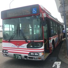 普通の路線バスを利用した観光バス