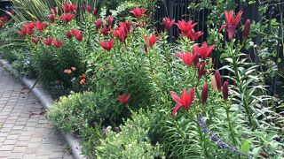 ローズガーデン 