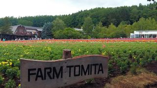 カラフルな花の帯が圧巻