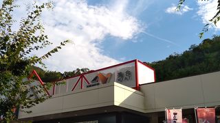 マクドナルド、吉野家、はなまるうどんなど充実