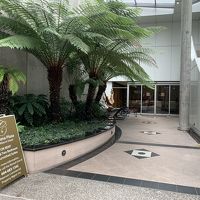 入り口はちょっと分かりにくいかな。