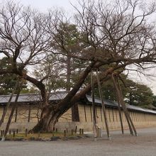 権威ある風景だ
