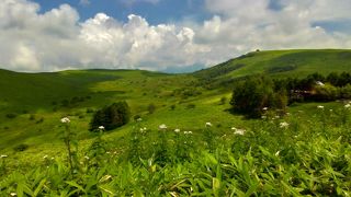 最高のビュースポット