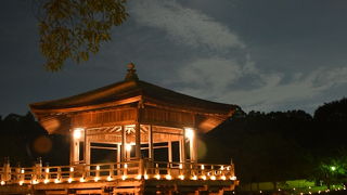 奈良の夏の風物詩。