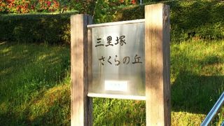 飛行機が見える公園