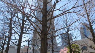 イルミではないけれど