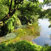 日本一短い１級河川