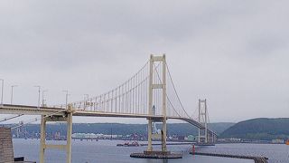 橋の全貌が見られます