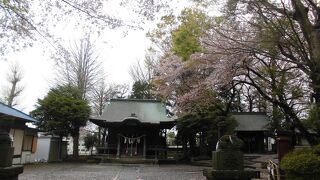 相模原でも有数の歴史を持つ神社