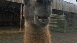 大人もワクワク。