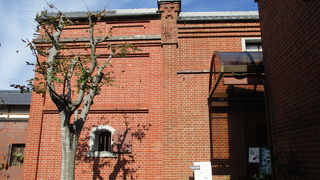 明治生まれです