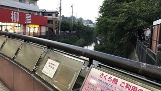 桜の時期以外はひっそり