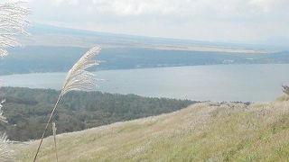 全景を見渡すなら山中湖パノラマ台がオススメ
