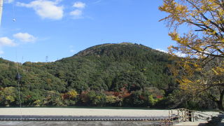 癒しの風景です