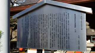 見るものがたくさん