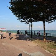 海沿いの雰囲気良い長細い公園