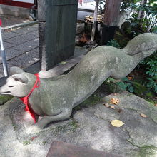 躍動感のある狐も