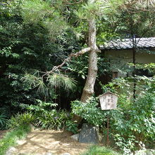 太田道灌駒繋ぎの松