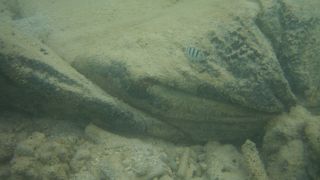 久米島のメインビーチ