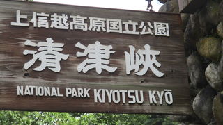 黒部峡谷・大杉谷とともに日本三大峡谷の一つとして知られる「清津峡」です。