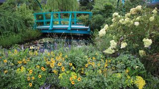 真夏にも多くの花が咲いていました