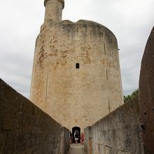 近くで見るとかなり大きい