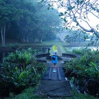 朝のお庭のお散歩