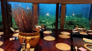 魚を見ながら炭火焼