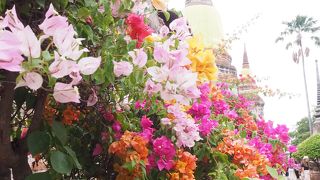 綺麗な寺院@ワット ヤイ チャイ モンコン (チャオプラヤー タイ寺院) 