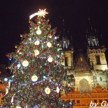 クリスマスツリーとティーン教会