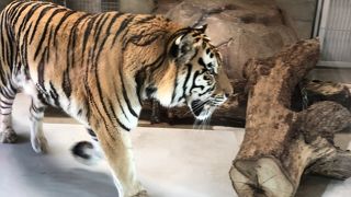 1人でも楽しめました